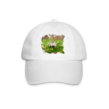 Phidippus texanus jumping spider, spring spinne. - Baseball Cap - white/white - Front
