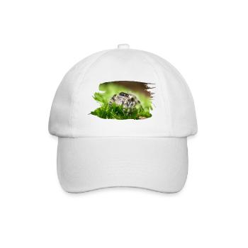 Phidippus bidentatus jumping spider spring spinne - Baseball Cap - white/white - Front