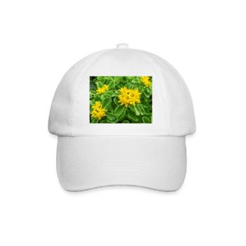 Fetthenne auch Sedum auch Orpine Ewige Fetthenne - Baseballkappe - Weiß/Weiß - Vorne