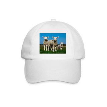 lambs in the pasture - Baseball Cap - white/white - Front