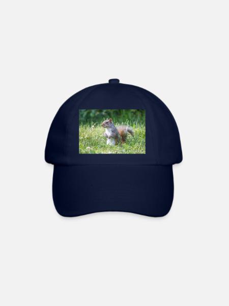 stehendes Grauhörnchen (Sciurus carolinensis) grey - Baseballkappe - Blau/Blau