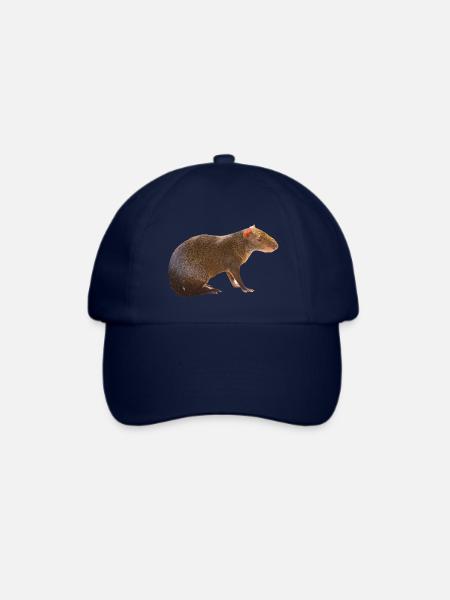 Agouti 4 - Baseballkappe - Blau/Blau