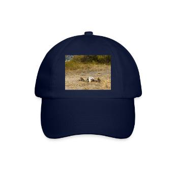 Schädel eines Kapbüffels Landschaft in Namibia - Baseballkappe - Blau/Blau - Vorne