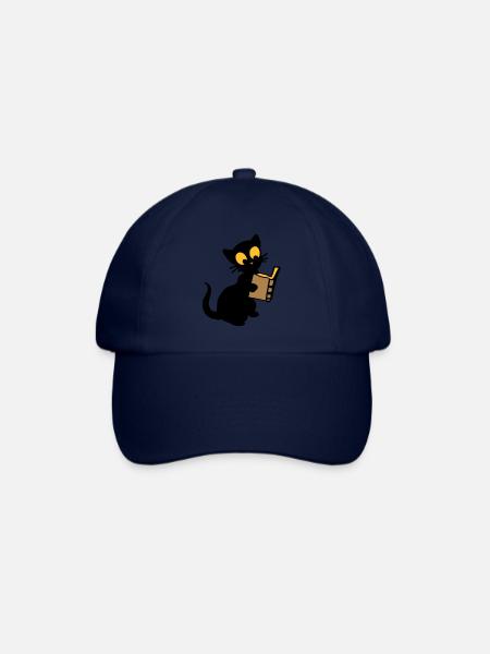 The book - Baseball Cap - blue/blue