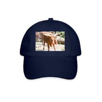 Ankole-Watusi or Ankole Longhorn Watussirind - Baseball Cap - blue/blue - Front