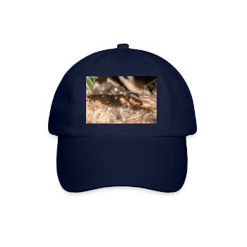 dwarf mongoose (in german Zwergmangusten) Helogale - Baseball Cap - blue/blue - Front