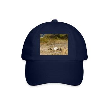 crâne d’un buffle du Cap Paysage en Namibie - Casquette classique - bleu/bleu - Devant