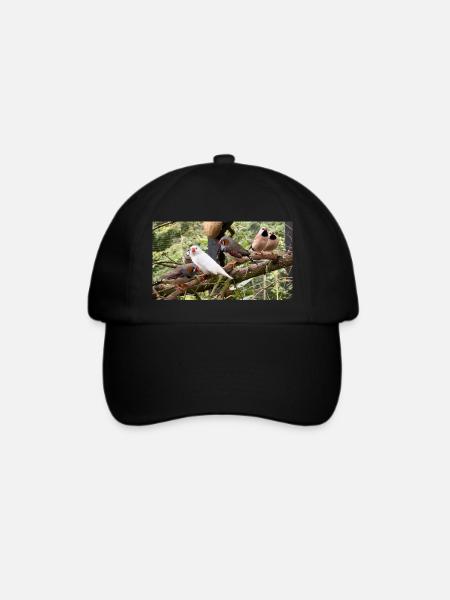 Finkenflock - Zebrafinken - Baseballkappe - Schwarz/Schwarz