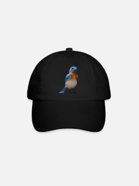 Hüttensänger Vogel Design - Baseballkappe - Schwarz/Schwarz