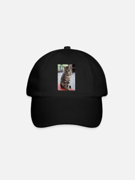 Katze Kätzchen Poster Katzenposter - Baseballkappe - Schwarz/Schwarz