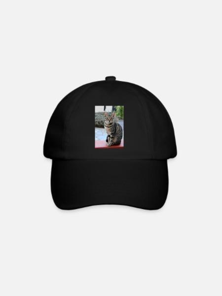 Katze - Baseballkappe - Schwarz/Schwarz