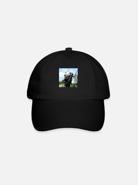 Esel - Baseballkappe - Schwarz/Schwarz