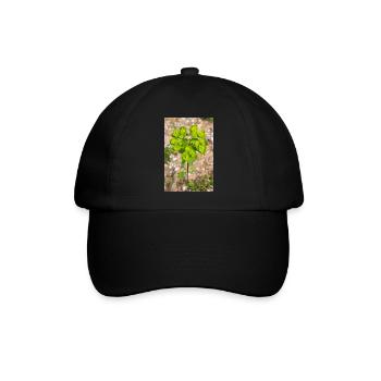 blühende bunte Wolfsmilch (Euphorbia) Blume - Baseballkappe - Schwarz/Schwarz - Vorne