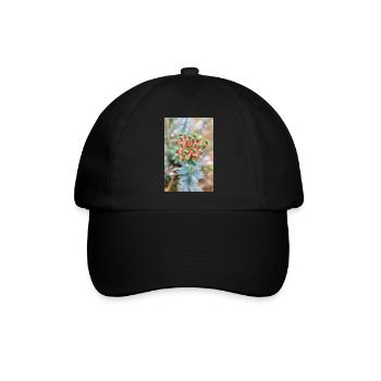blühende bunte Wolfsmilch (Euphorbia) Blume - Baseballkappe - Schwarz/Schwarz - Vorne