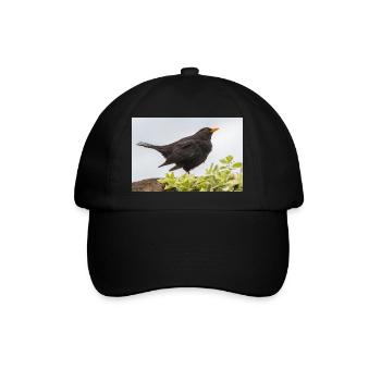 Blackbird (Turdus merula) Amsel Poster - Baseballkappe - Schwarz/Schwarz - Vorne
