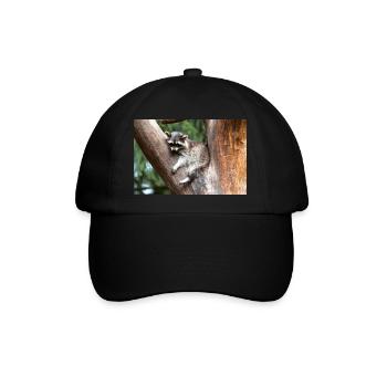 North American racoon (in german Waschbär) - Baseballkappe - Schwarz/Schwarz - Vorne