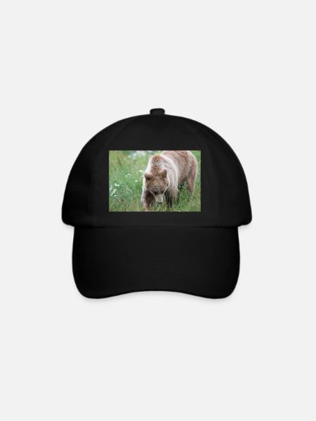 Braunbär Ursus arctos - Baseballkappe - Schwarz/Schwarz