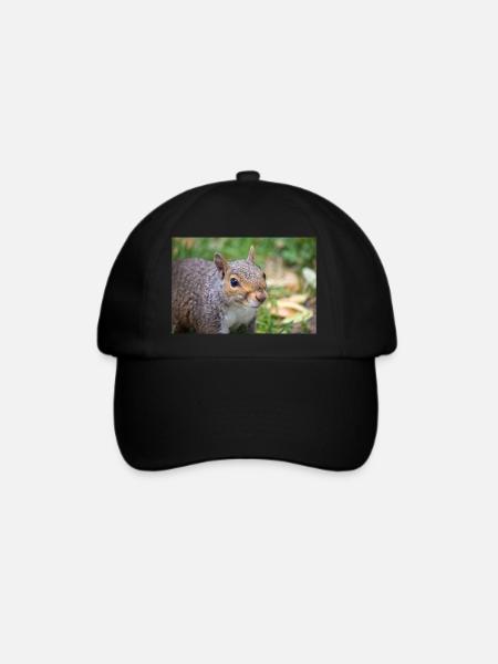 Grauhörnchen Sciurus - Baseballkappe - Schwarz/Schwarz