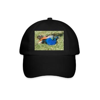 Blauer Pfau (in german Blauer Pfau) Pavo cristatus - Baseballkappe - Schwarz/Schwarz - Vorne