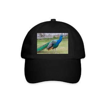 Blauer Pfau Pavo cristatu - Baseballkappe - Schwarz/Schwarz - Vorne