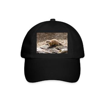 Afrikanisches Ziesel Borstenhörnchen Xerus - Baseballkappe - Schwarz/Schwarz - Vorne