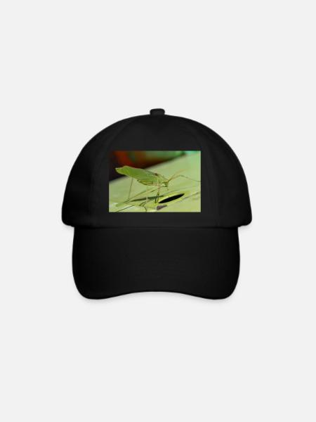 Krauss-Buschgrille Isophya kraussii - Baseballkappe - Schwarz/Schwarz