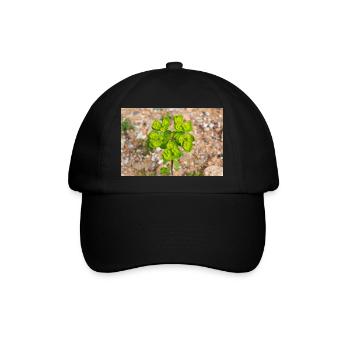 blühende bunte Wolfsmilch (Euphorbia) Blume - Baseballkappe - Schwarz/Schwarz - Vorne