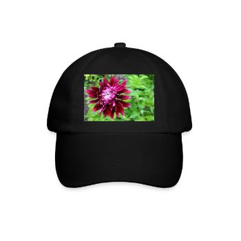 Dahlie, Blume, Blüte rot - Baseballkappe - Schwarz/Schwarz - Vorne