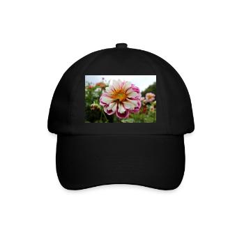 Biene, Honigbiene auf bunter Blüte, Dahlie - Baseballkappe - Schwarz/Schwarz - Vorne