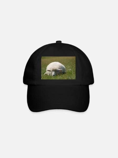 Ruhendes Schaf im Gras - Baseballkappe - Schwarz/Schwarz