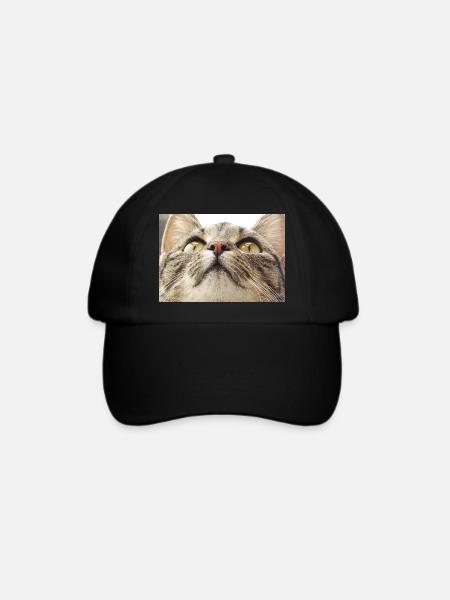 Katzengesicht von Minka - Baseballkappe - Schwarz/Schwarz