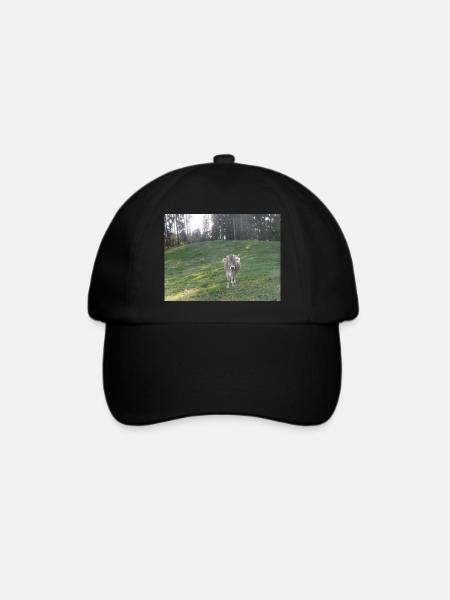 Kuh - Baseballkappe - Schwarz/Schwarz