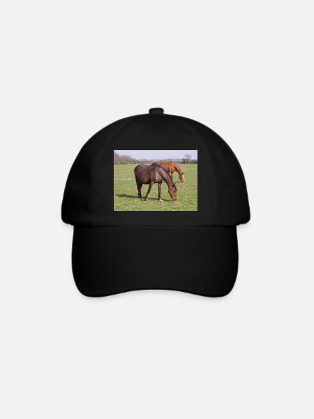 Pferde - Baseballkappe - Schwarz/Schwarz