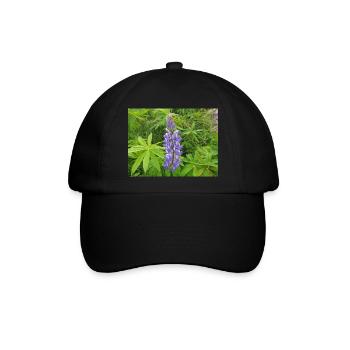 wilde mehrjährige Lupine auch Sonnenuhrlupine - Baseballkappe - Schwarz/Schwarz - Vorne