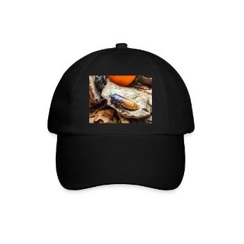 Madagaskar Kakerlake Madagaskar-Fauchschabe - Baseballkappe - Schwarz/Schwarz - Vorne