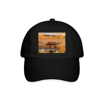 Afrikanische Kapbüffelherde Namibia Afrika - Baseballkappe - Schwarz/Schwarz - Vorne