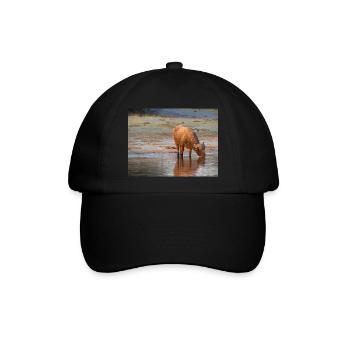 Landschaft am Cubango-Fluss mit Kapbüffel - Baseballkappe - Schwarz/Schwarz - Vorne