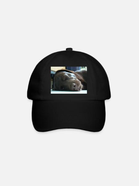Mein Labrador - Baseballkappe - Schwarz/Schwarz