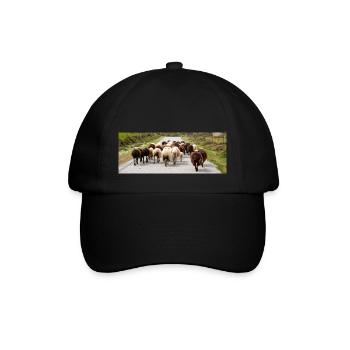 Chèvre de montagne dans le parc national Parc de l’île de Kos - Casquette classique - noir/noir - Devant