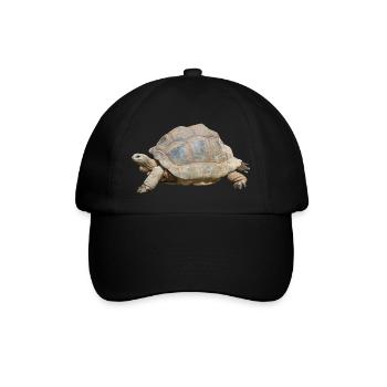 turtle schilkroete - Baseball Cap - black/black - Front