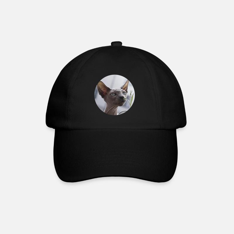 Chat nu chat sphynx - Casquette classique - noir/noir