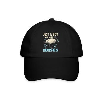 JUST A BOY WHO LOVES IBISES - Baseballkappe - Schwarz/Schwarz - Vorne