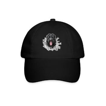 RussischerSchwarzerTerrier Glas - Baseballkappe - Schwarz/Schwarz - Vorne