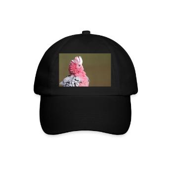 Cakadu - Casquette classique - noir/noir - Devant