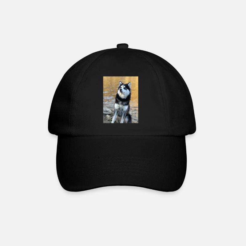 Husky - Baseballkappe - Schwarz/Schwarz