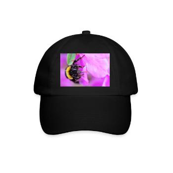 Bee on the violet - Baseball Cap - black/black - Front