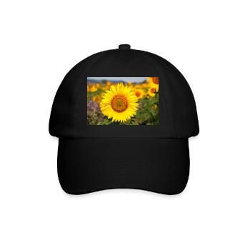 Sunflower flower head protrudes from a field - Baseball Cap - black/black - Front