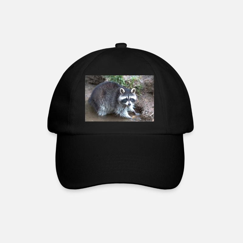 Nordamerikanischer Waschbär (racoons) - Baseballkappe - Schwarz/Schwarz