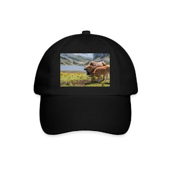 Vache avec veau dans les montagnes des Asturies - Casquette classique - noir/noir - Devant