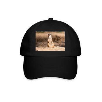 Meerkat (Suricata suricatta) meerkat - Baseball Cap - black/black - Front